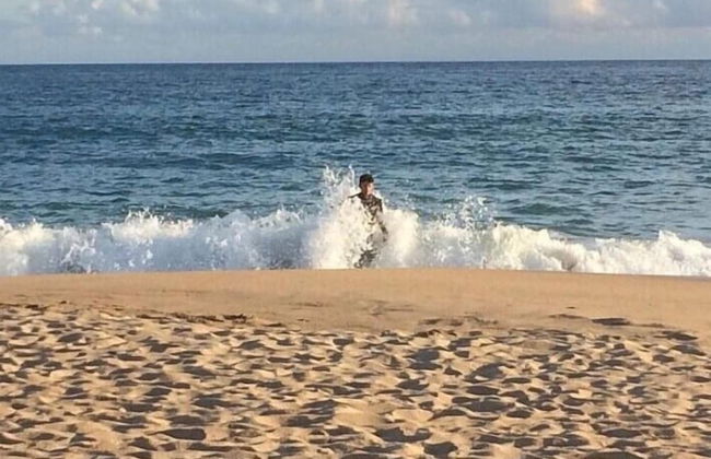 Camellia chalet - Photo 19