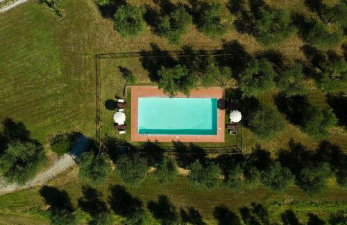 Podere l'Ulivo - Foto 10