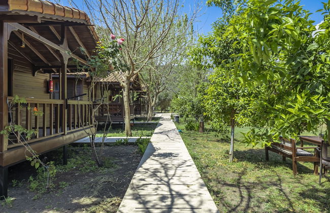 La Maison Hotel Çıralı - Foto 52