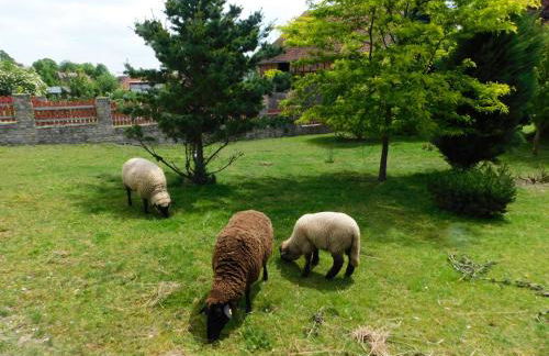 Ferienwohnungen Landleben - Foto 11