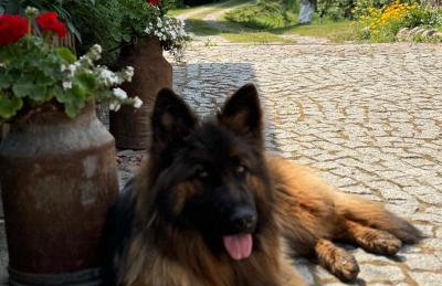 Siedlisko na Górce - Foto 73