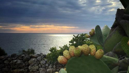 La Marchesa di Castiglione - Foto 1