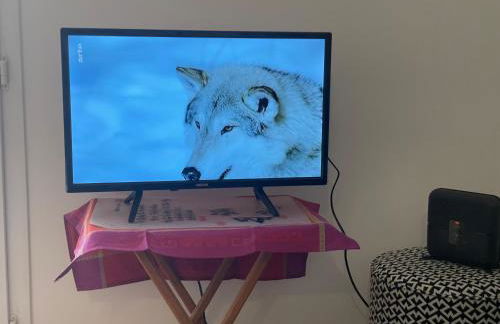 Imperialand T2 Terrasse parking dans la verdure - Foto 10