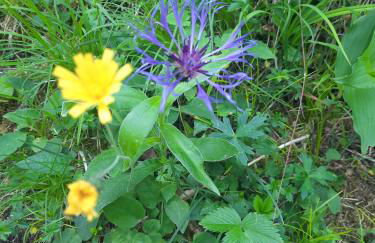 Fischer`s Postresidenzen Ettal - Foto 74