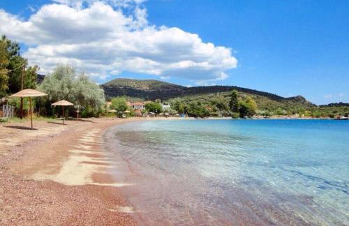 Alexander's - Foto 21