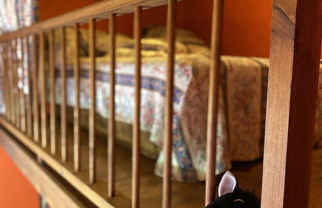 Lo Racó de Peret - Foto 31