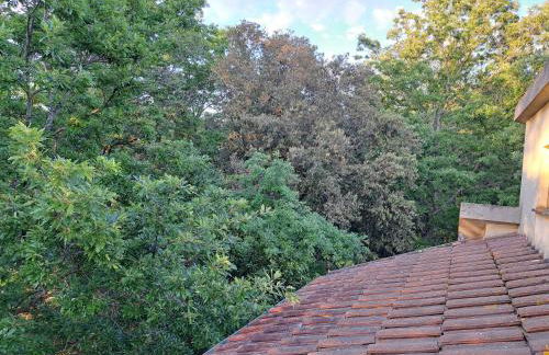 casa con bosco e vista mare - Foto 36