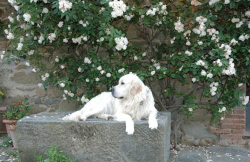 Locanda Casanuova - Photo 41