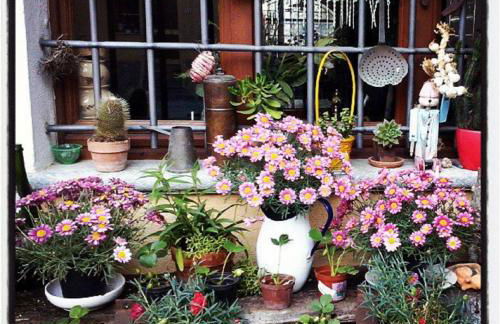 Agriturismo del Pigato - Bio Vio - Foto 62