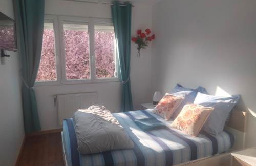 Pretty Poppy - Foto 11