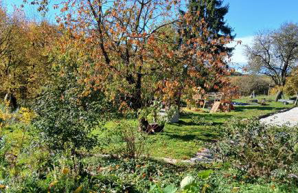 Tweet Apartments with Sauna and optional Breakfast Close To Terme Sveti Martin - Foto 18