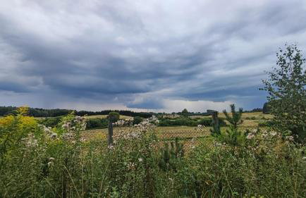 Cały dom na wyłączność - Ostoja Leśna Cisza - Foto 38