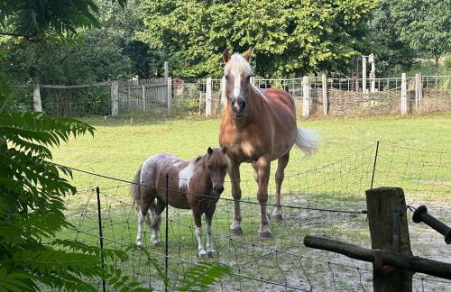 Schöner Winkel - Foto 24