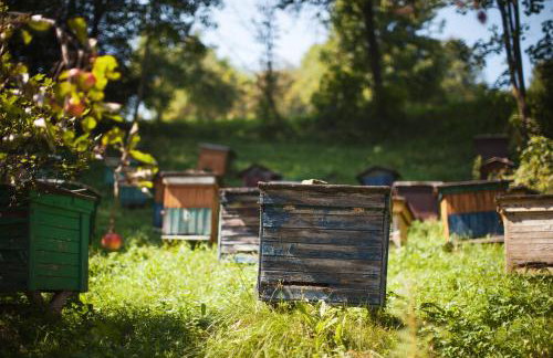 Pasieka - Dom Wypoczynkowy - Foto 33