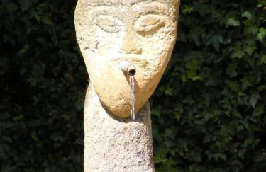 Solar Quinta da Portela - Douro - Photo 43