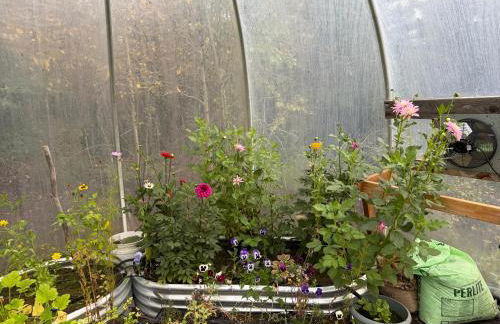 Knik Wilderness Getaway - Foto 32