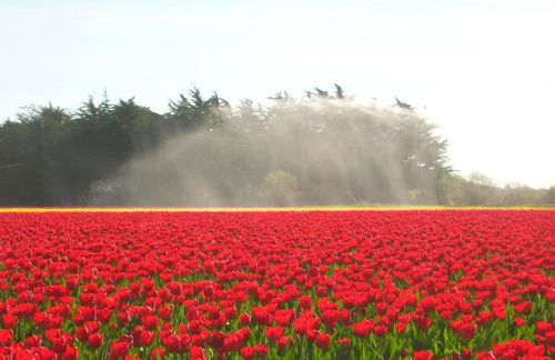 Escapade en Bretagne - Photo 27