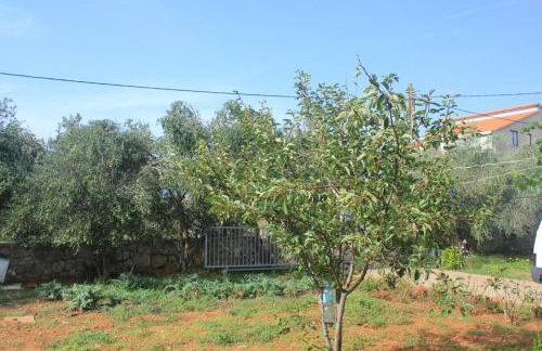 Apartments by the sea Muline, Ugljan - 8520 - Foto 8