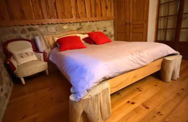 Maison de charme à la Salvetat-sur-Agout 3 chambres - Foto 48