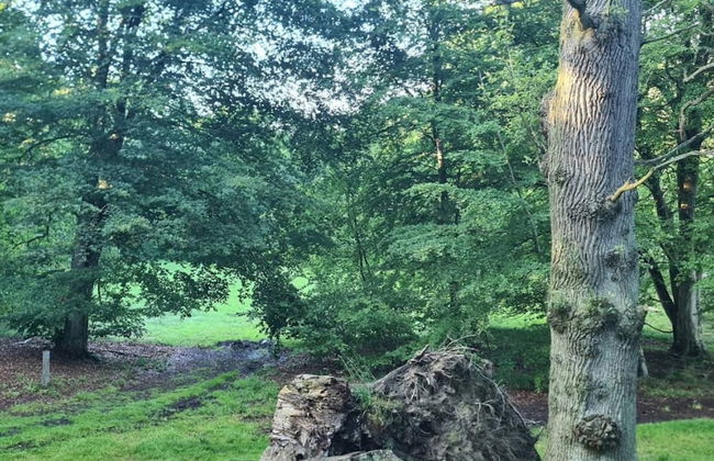 4 Person Holiday Home in Faxe Ladeplads-by Traum - Foto 14