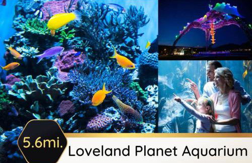 Bee Chic in SoJo w/hot tub+gym+local ski slopes - Foto 32