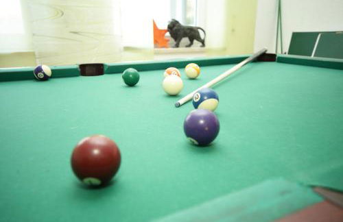 Gästehaus Grünberger - Foto 29