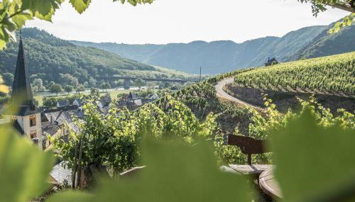 Weinquartier Conzen - Foto 3