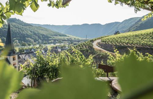 Weinquartier Conzen - Foto 3