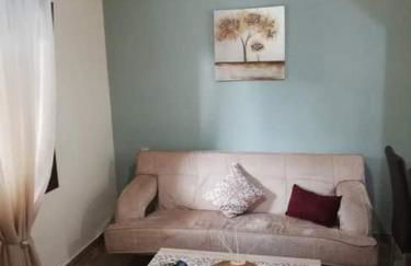 John and Tania's Garden - Photo 19