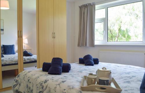 Springfield - Foto 16