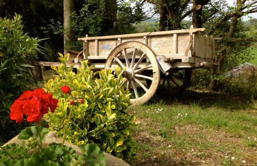 Agriturismo San Carlo - Foto 69