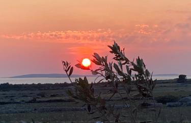 Roris House - Foto 42