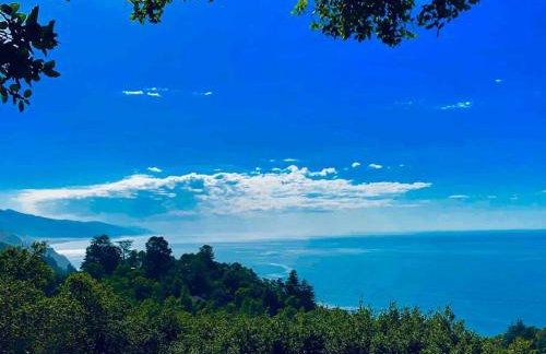 5 acres pool/spa, walk to all Big Sur has to offer - Foto 47