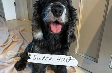 Stylish 2 bedroom self-contained apartment in the heart of Clifton Village - Foto 17