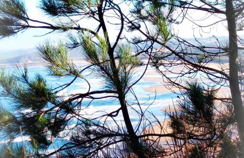 AMORES DE ASTURIAS - Foto 39