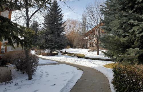 Family Getaway-Pool, Hot Spring, Scuba & Ice Castles 727 home - Foto 44