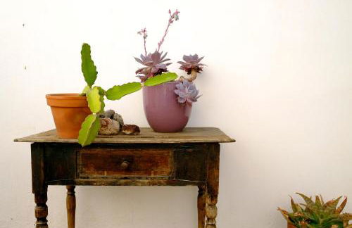 La Posidonia - Foto 37