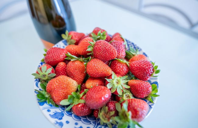 Surf Sound B Flat in Livorno - Foto 19