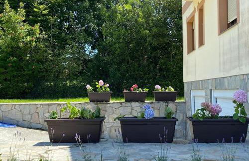 Casuca Cántabra - Foto 16