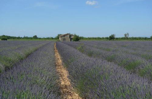 Lou Marcelou - Apartment One - Foto 13