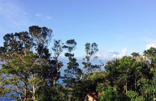 Intact Farm Resort - Photo 31