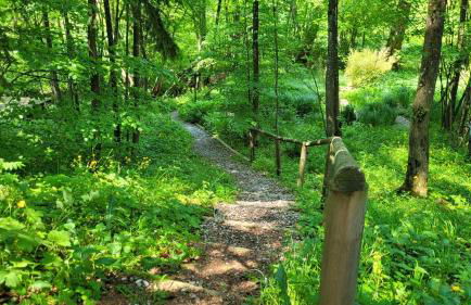 Tegernsee Chalet - Foto 44