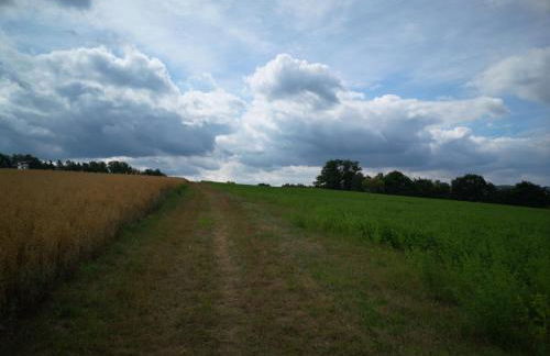 Schrauts Unwesen - Photo 6