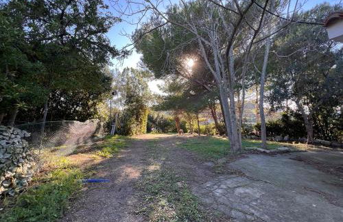 Villa Cristina - Foto 14