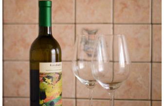 Color 24 Apartament V - Foto 4