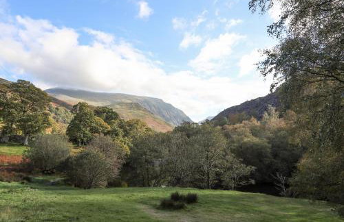 4 Ty Person - Photo 25