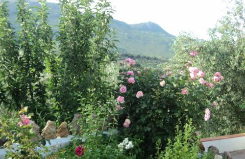 Puente Piedra - Foto 39