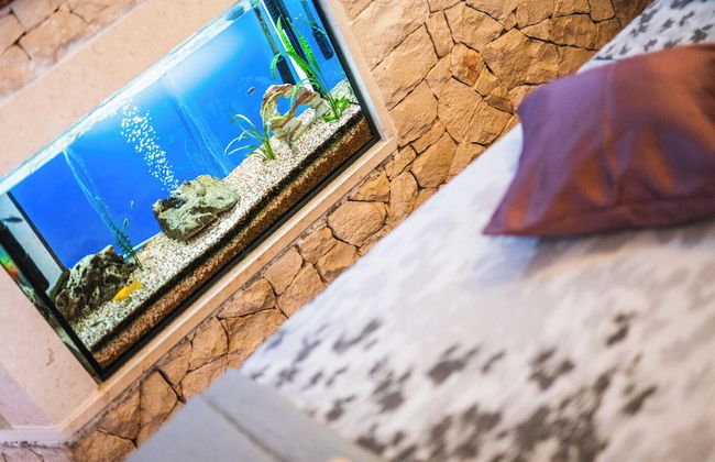 M & J Central Suites - Photo 21