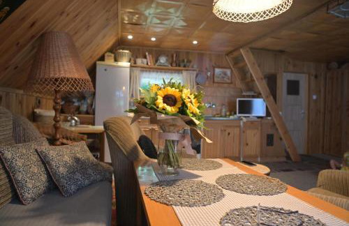 Ostoja dom letniskowy - Foto 19