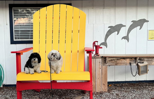 Avila Pismo RV Resort and Campground - Foto 32